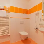 Lipno Wellness - C112 Private Family アパート フリンブルク